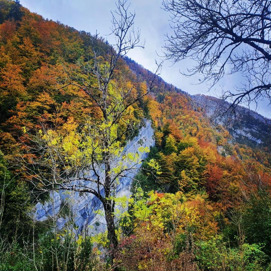 Gite Les Moulins Septmoncel-Les-Molunes Esterno foto
